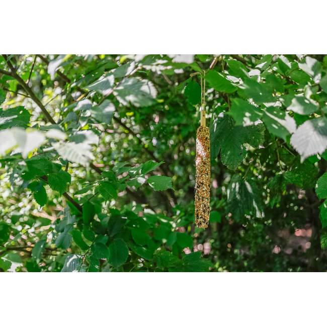 Foodstick XL for wild birds - Millet