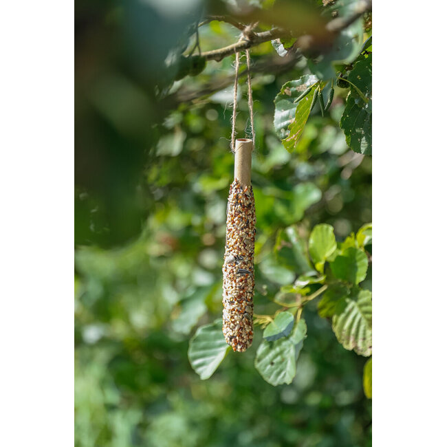 Voerstick voor buitenvogels - Lekkere snack voor tuinvogels - Gierst