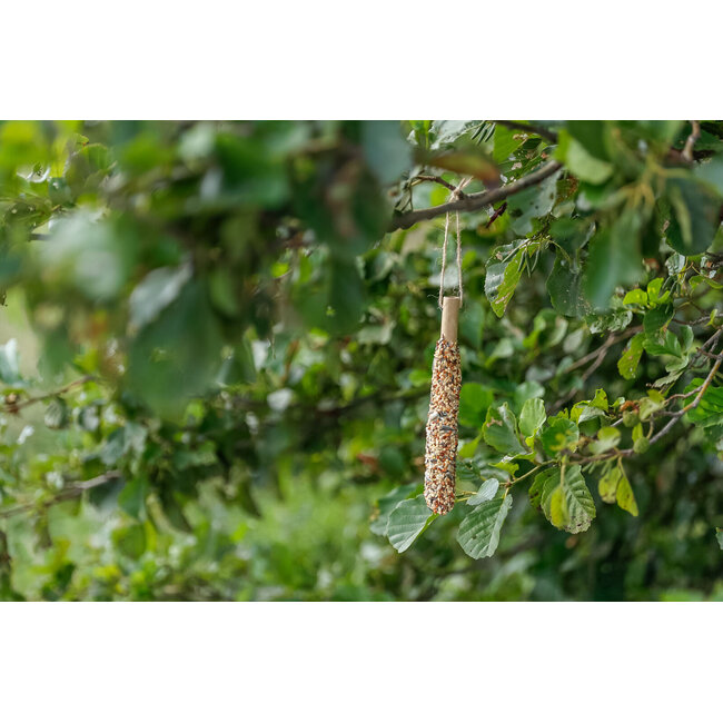 Foodstick for wild birds - Millet