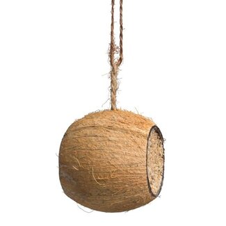 Wielink Gevulde Kokosnoot  - ca. 11 cm