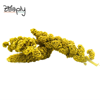 Zooply Trostgierst – 250 gram