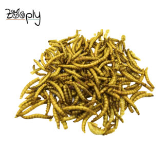 Zooply Meelwormen – 1,5 kg