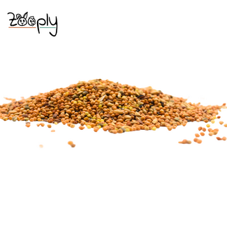 Zooply Tropisch zaad – 10 kg