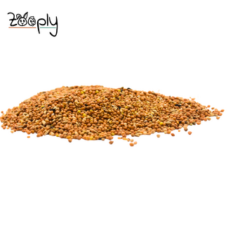 Zooply Tropisch zaad – 900 gram