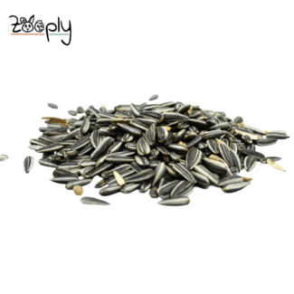 Zooply Gestreepte zonnebloempitten - 12,5 kg