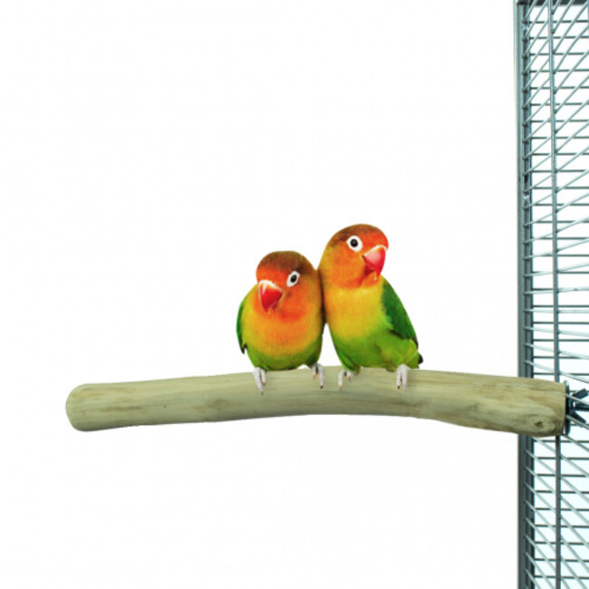 Java zitstok - Natuurlijke zitstok van Java hout voor parkieten, kanaries en tropische vogels - Small