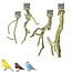 Java Multi zitstok - Vertakte zitstok van Java-hout voor kanaries, tropische vogels en kleine parkieten - X-Small