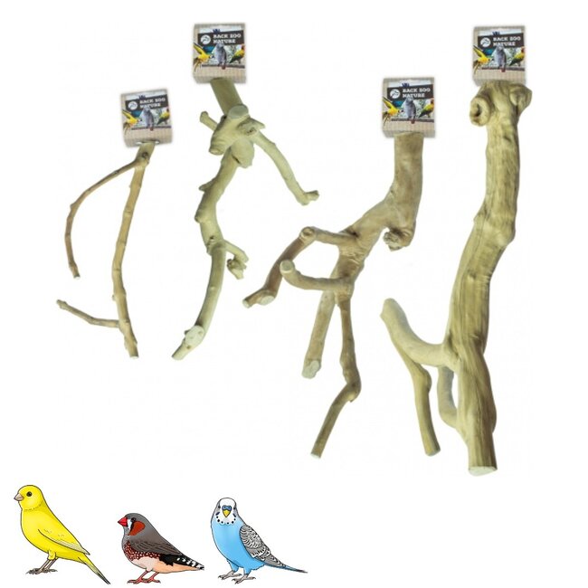 Java Multi zitstok - Vertakte zitstok van Java-hout voor kanaries, tropische vogels en kleine parkieten - X-Small