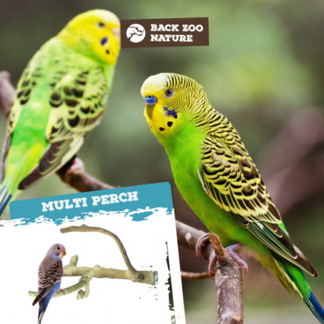 Java Multi zitstok - Vertakte zitstok van Java-hout voor kanaries, tropische vogels en kleine parkieten - X-Small