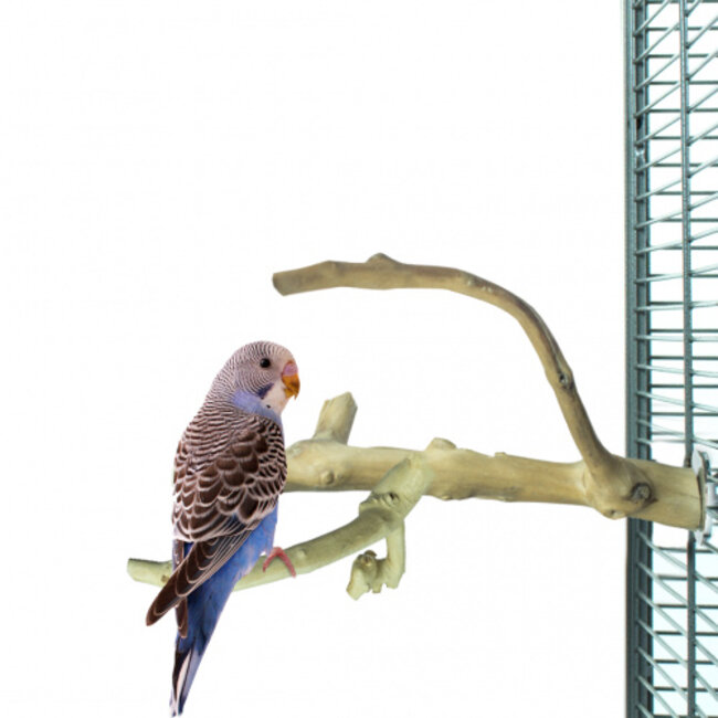 Java Multi zitstok - Vertakte zitstok van Java-hout voor kanaries, tropische vogels en kleine parkieten - X-Small