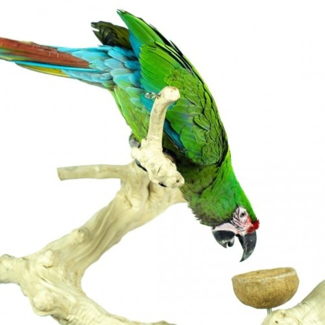 Java Playstand - Tafelstandaard van Java hout met plateau voor grote papegaaien en ara's - X-Large
