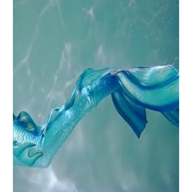 Holiday Excellent Mermaid Gel Striphars – blik 400/800 ml