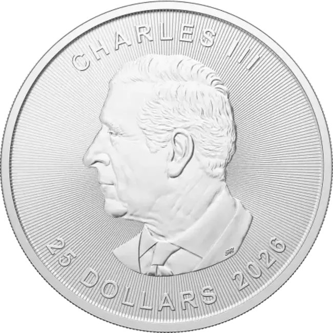 Maple Leaf 5 oz Grote Maple Leaf Zilver Coin | 2026