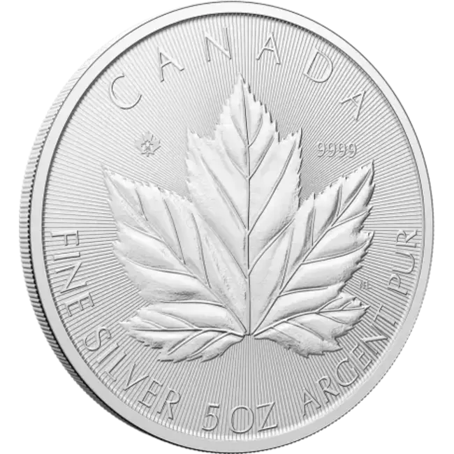Maple Leaf 5 oz Grote Maple Leaf Zilver Coin | 2026