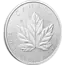 Maple Leaf 5 oz Grote Maple Leaf Zilver Coin | 2026