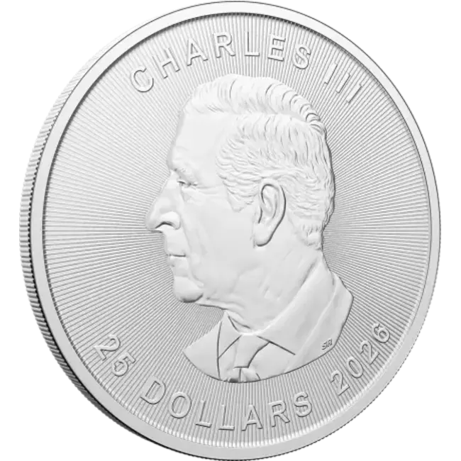 Maple Leaf 5 oz Grote Maple Leaf Zilver Coin | 2026