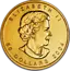 1 oz Gouden Maple Leaf | Diverse Jaren