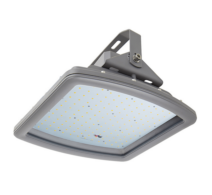 ATEX - Explosion Proof Floodlight 100W | Zone 1 / 21 & Zone 2 / 22
