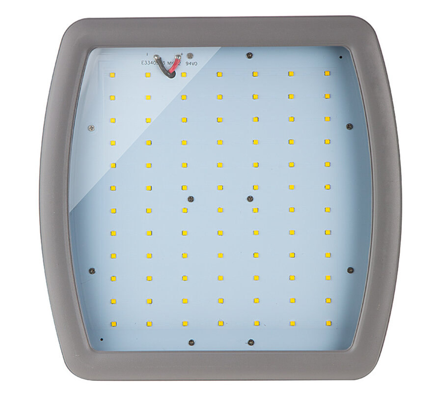 ATEX - Explosion Proof Floodlight 100W | Zone 1 / 21 & Zone 2 / 22