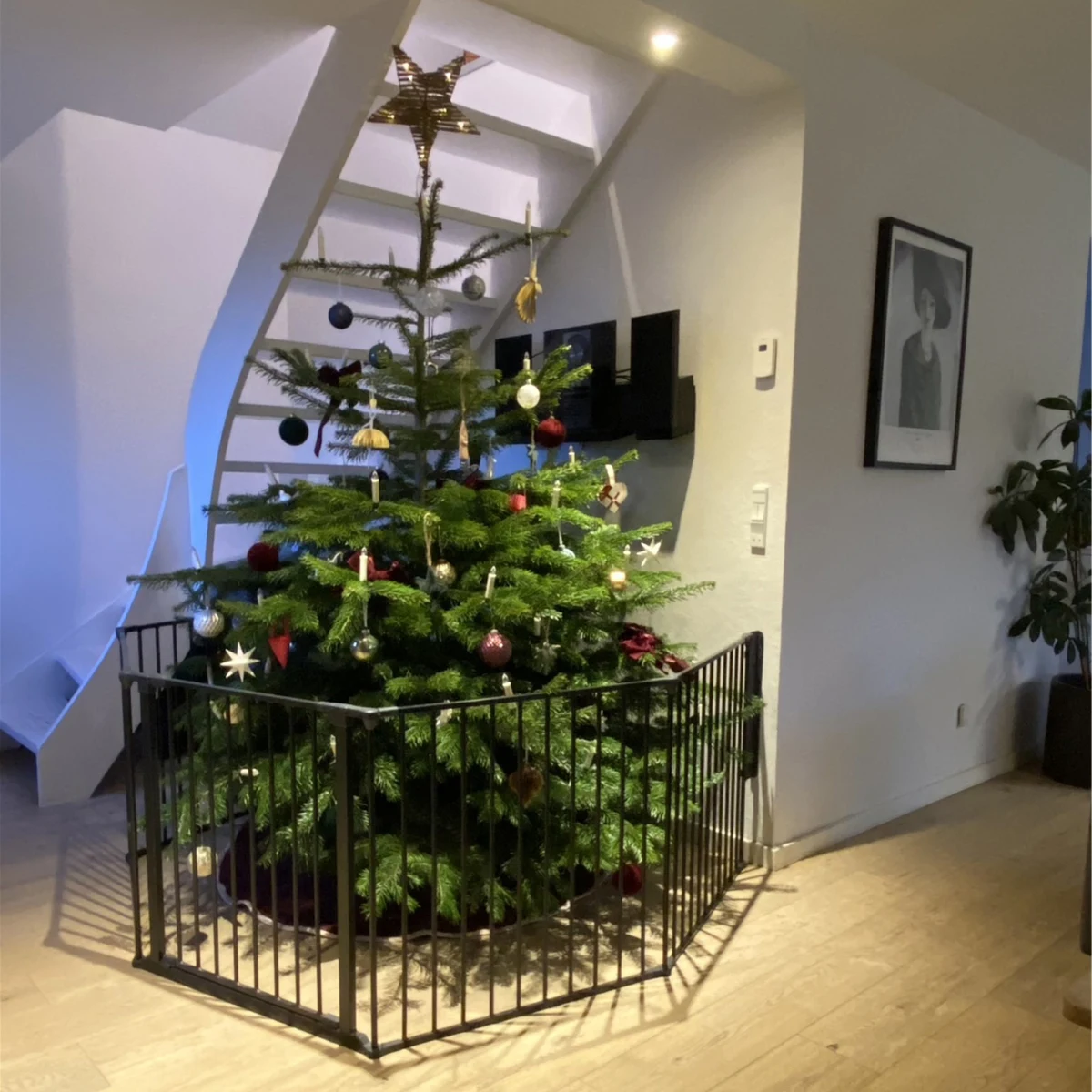 Barrière de sécurité sapin de Noël BabyDan