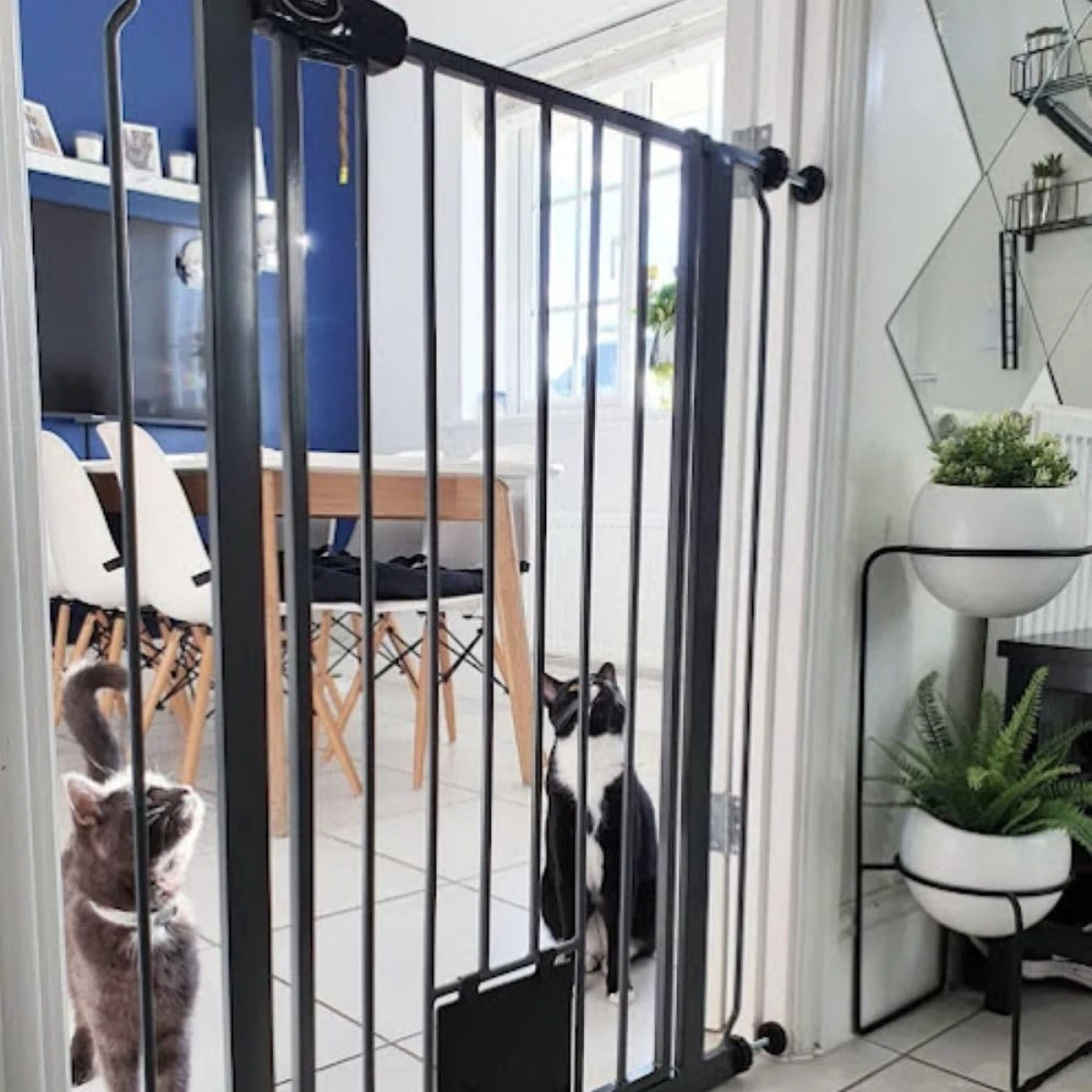 Montage barrière de sécurité Bettacare