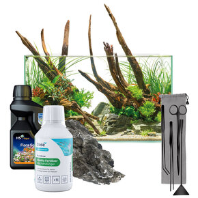 Aquascaping Aquascaping