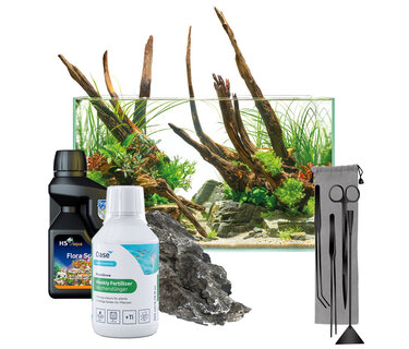 Aquascaping