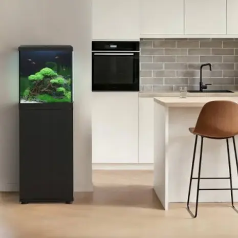 Juwel Vio Cube 54 Schwarz