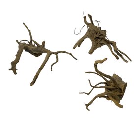 Superfish Black Spiderwood S Superfish Black Spiderwood S