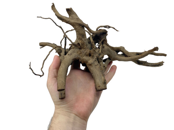 Superfish Black Spiderwood S