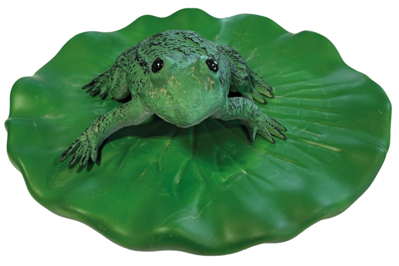 Superfish Schwimmender Frosch