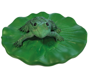 Superfish Schwimmender Frosch Superfish Schwimmender Frosch