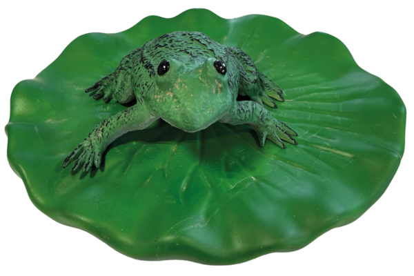 Superfish Schwimmender Frosch