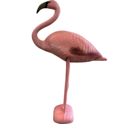 Superfish Bird Flamingo S