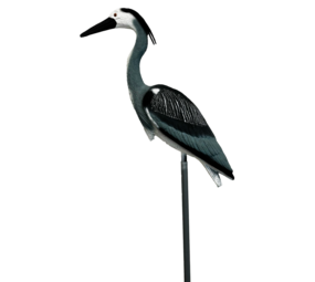 Superfish Bird Heron S
