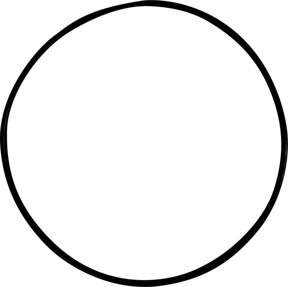 Superfish Topclear 24.000 Abdeckung O-Ring