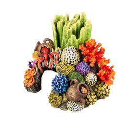 Aqua D'ella Korallengrotte Rechts L Mehrfarbig Aqua D'ella Korallengrotte Rechts L Mehrfarbig