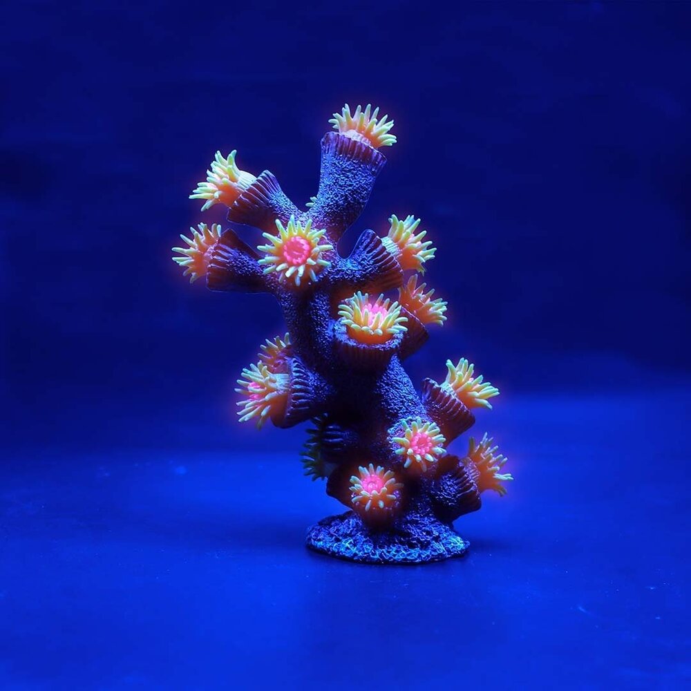 Aqua D'ella Kunstpflanze Tubastrea Orange