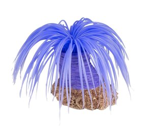 Aqua D'ella Kunstpflanze Anemone Cerianthus Lila Aqua D'ella Kunstpflanze Anemone Cerianthus Lila