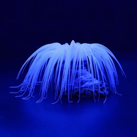 Aqua D'ella Kunstpflanze Anemone Cerianthus Lila