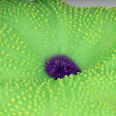 Aqua D'ella Kunstpflanze Anemone Teppich Grün