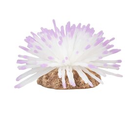 Aqua D'ella Kunstpflanze Anemone Weiß