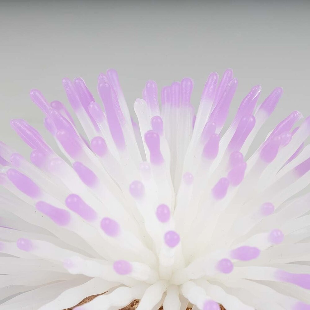 Aqua D'ella Kunstpflanze Anemone Weiß Aqua D'ella Kunstpflanze Anemone Weiß