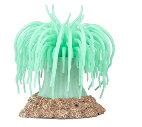 Aqua D'ella Kunstpflanze Anemone Grün