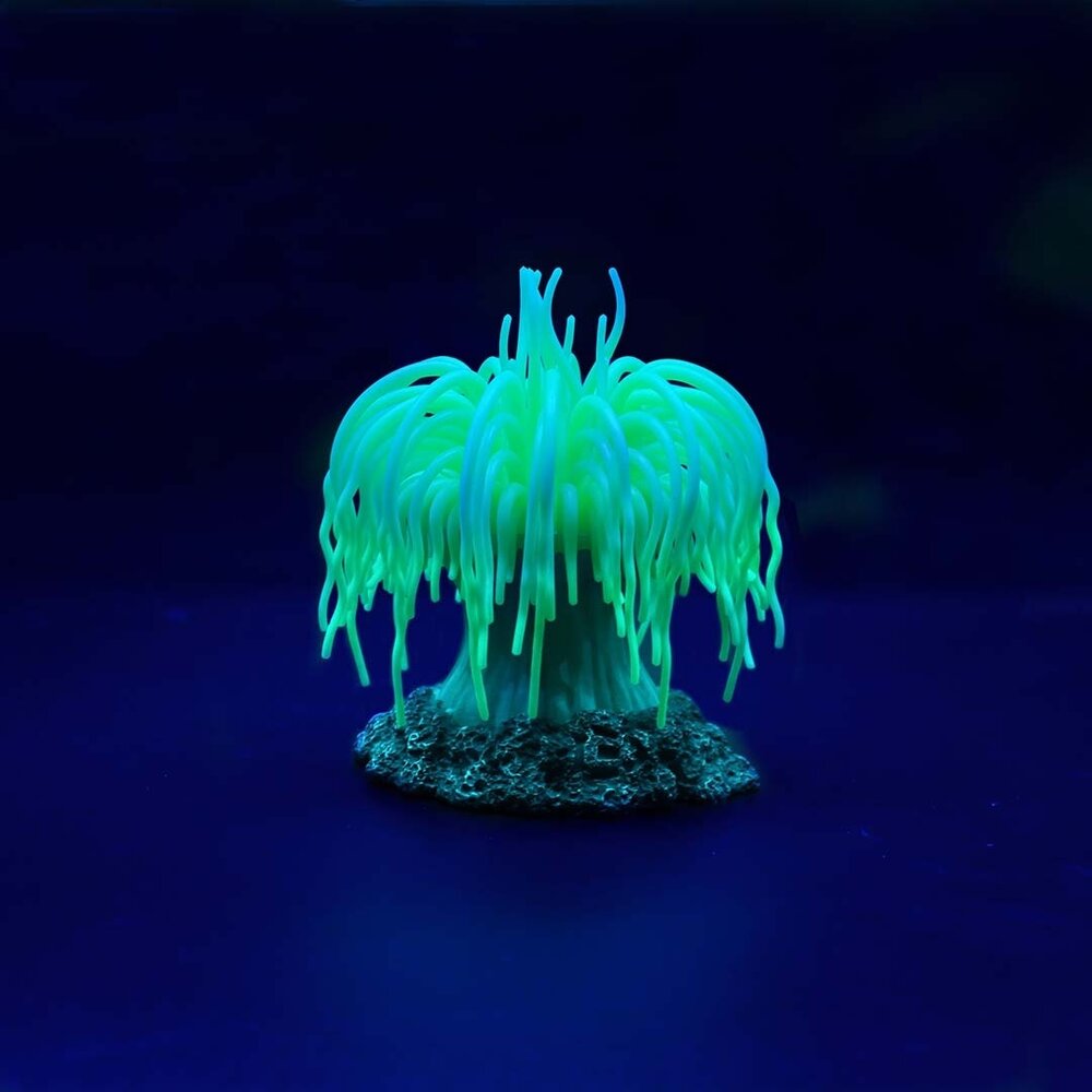 Aqua D'ella Kunstpflanze Anemone Grün Aqua D'ella Kunstpflanze Anemone Grün