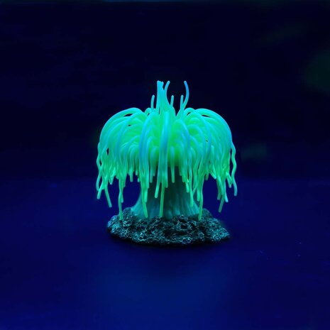 Aqua D'ella Kunstpflanze Anemone Grün Aqua D'ella Kunstpflanze Anemone Grün