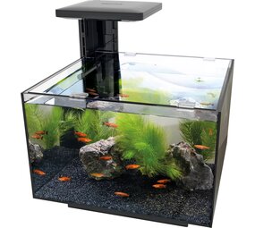 Superfish Qubiq 20 Schwarz Superfish Qubiq 20 Schwarz