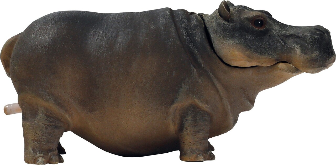 Superfish Hippo Deco Air S Superfish Hippo Deco Air S