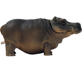 Superfish Hippo Deco Air S