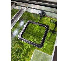 AquastoreXL Aquarium Futterring, schwimmende Futterstation mit Saugnapf